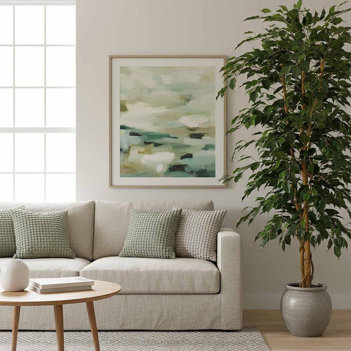 Ficus Retusa Bush Tree 1.8m