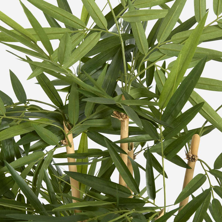 New Bamboo Tree 1.5m