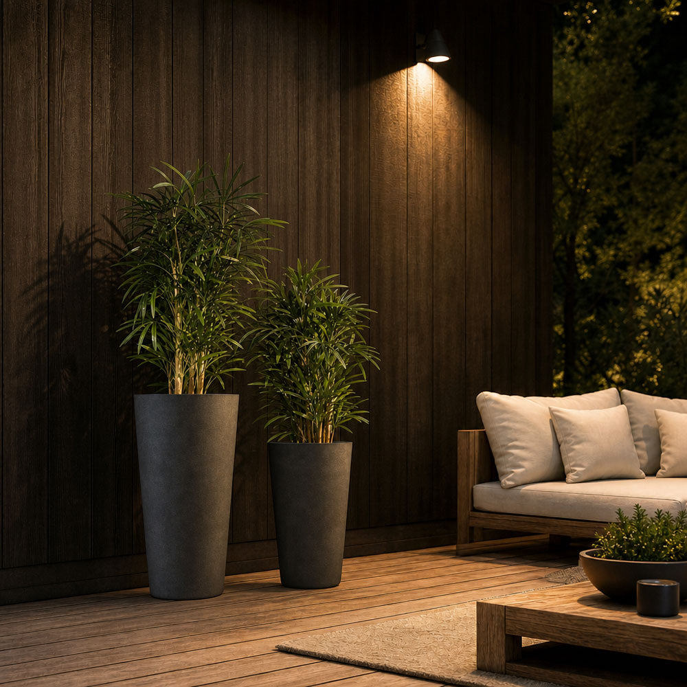 Raphis Palm Thin Leaf 1.6m