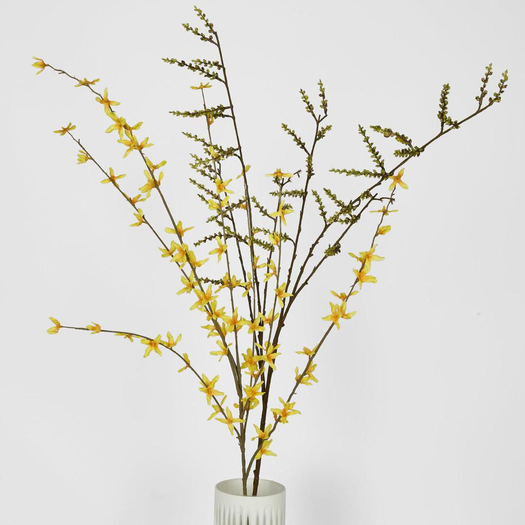 Forsythia Spray