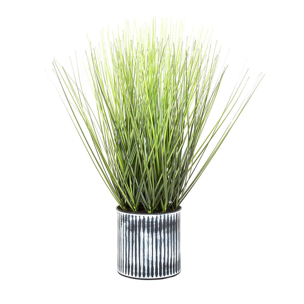 Grass in Pot 48cm