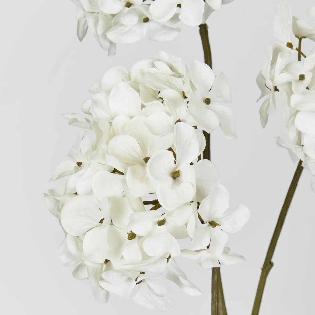 Mini Hydrangea Spray With 3 Heads White