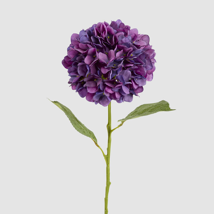 Claire Hydrangea Stem Purple