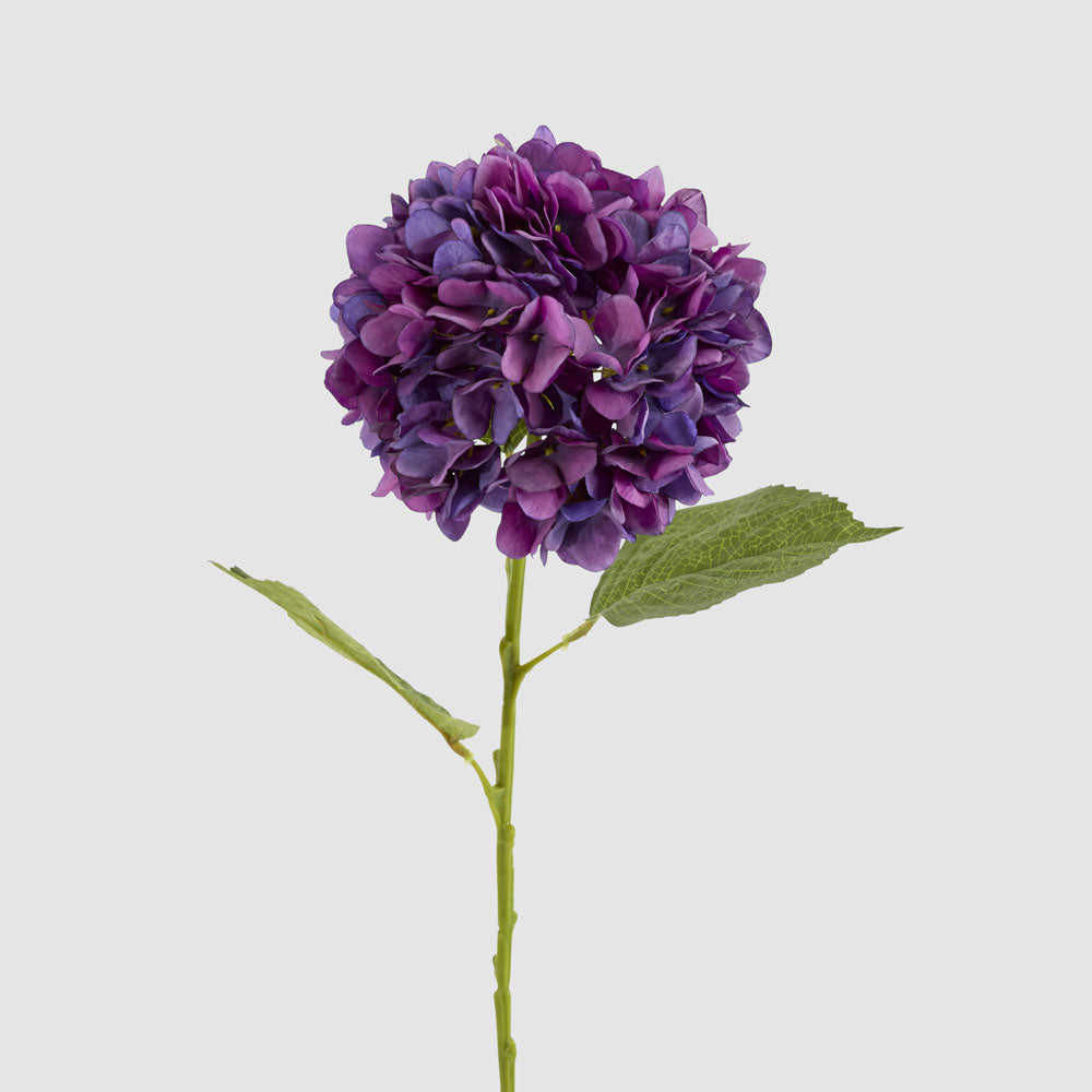 Claire Hydrangea Stem Purple