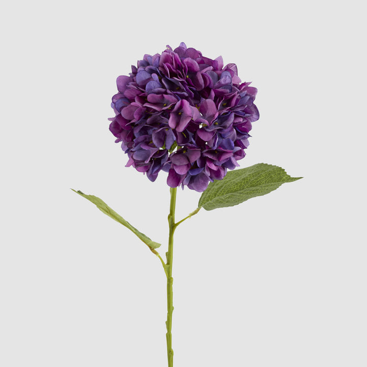 Claire Hydrangea Stem Purple