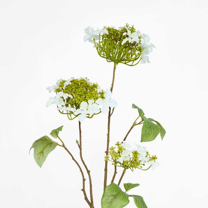 Lace cap Hydrangea Spray 70cm White