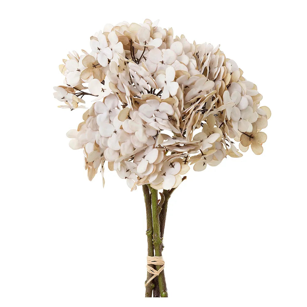 Hydrangea Bundle Dry Look 30cm Beige