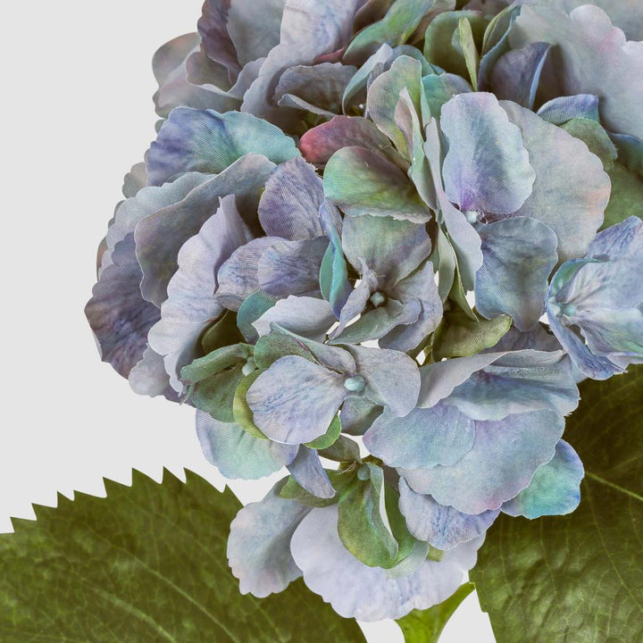 Hydrangea Large Stem With Leaves 75cm Blue