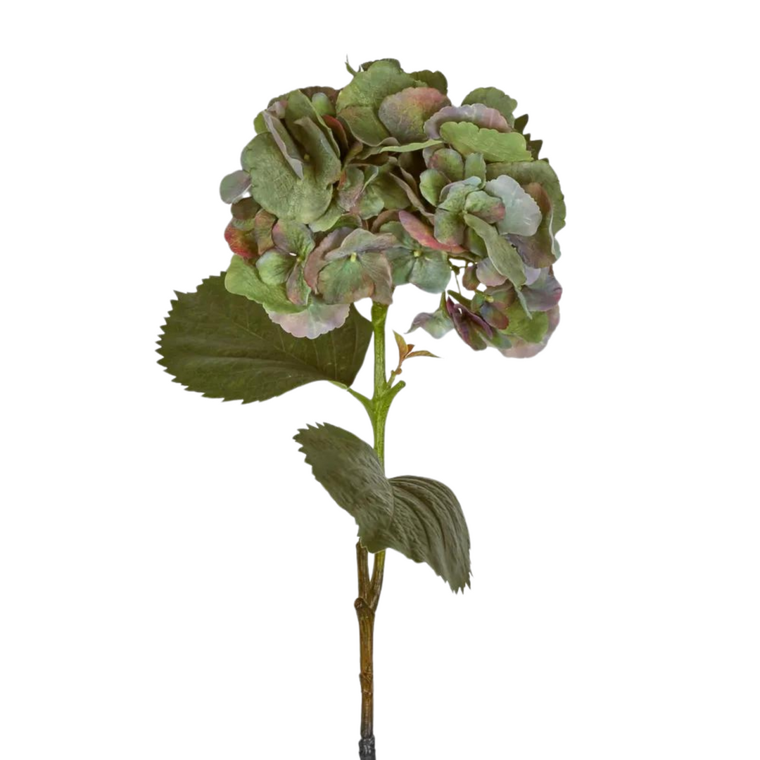 Hydrangea Large Green Stem With Leaves 75cm