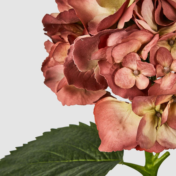 Hydrangea Large Stem With Leaves 75cm Rust