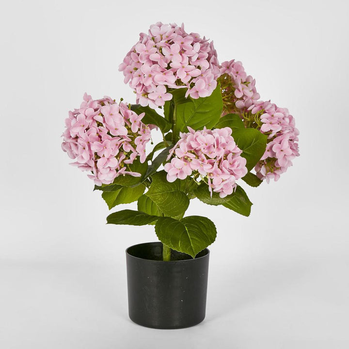 Hydrangea Potted Real Touch Pink 53cm