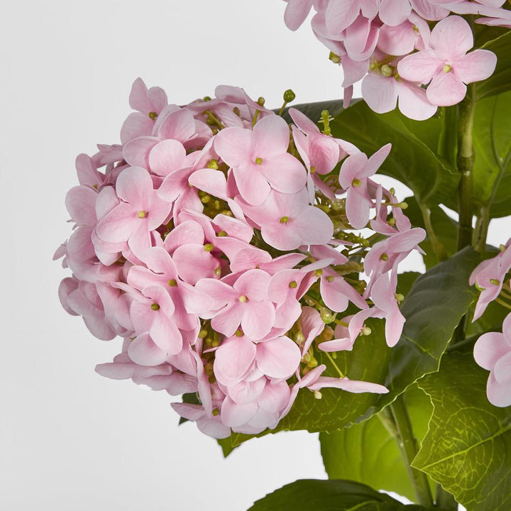Hydrangea Potted Real Touch Pink 53cm