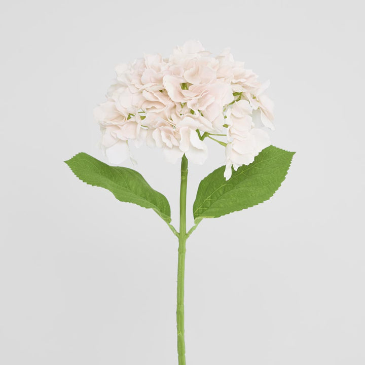 Hydrangea Stem Soft Touch 50cm White Pink