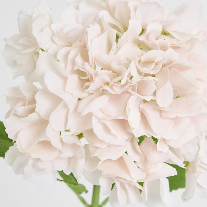 Hydrangea Stem Soft Touch 50cm White Pink