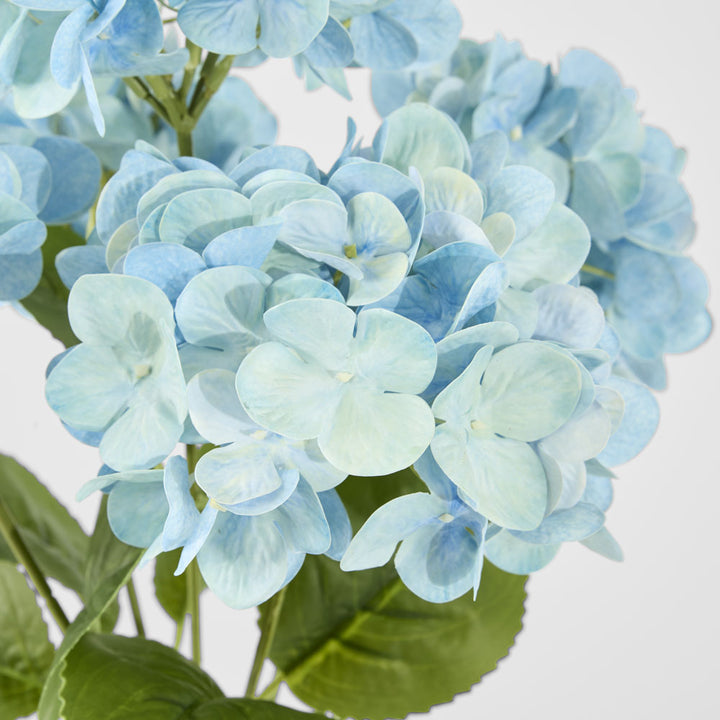 Fresh Touch Hydrangea Bunch Blue