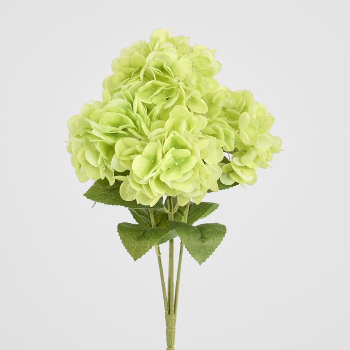 Hydrangea Fresh Touch Bunch Green