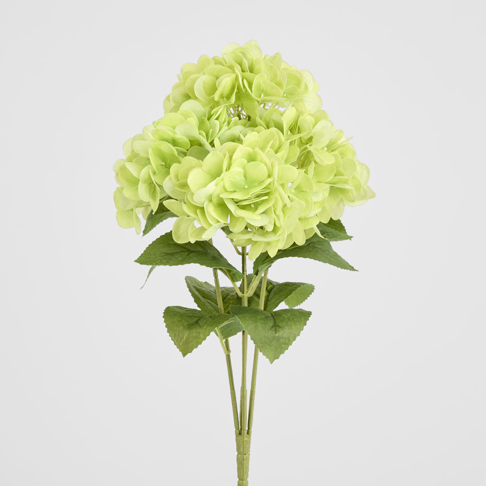 Hydrangea Fresh Touch Bunch Green