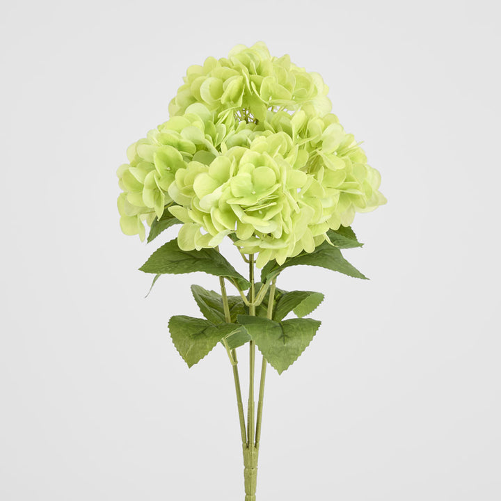 Hydrangea Fresh Touch Bunch Green