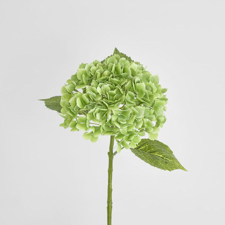 Hydrangea Real Touch Green 63cm