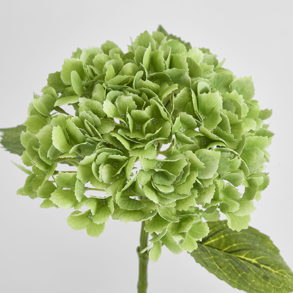Hydrangea Real Touch Green 63cm