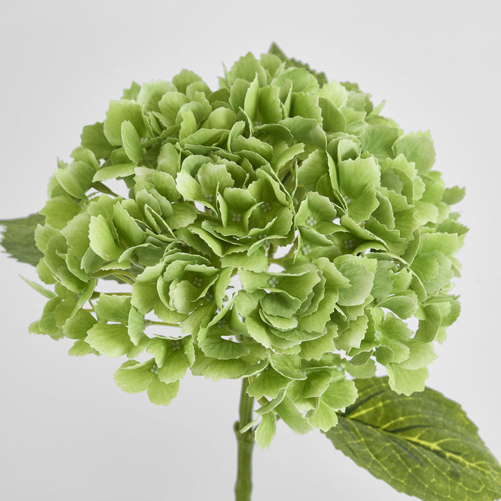 Hydrangea Real Touch Green 63cm