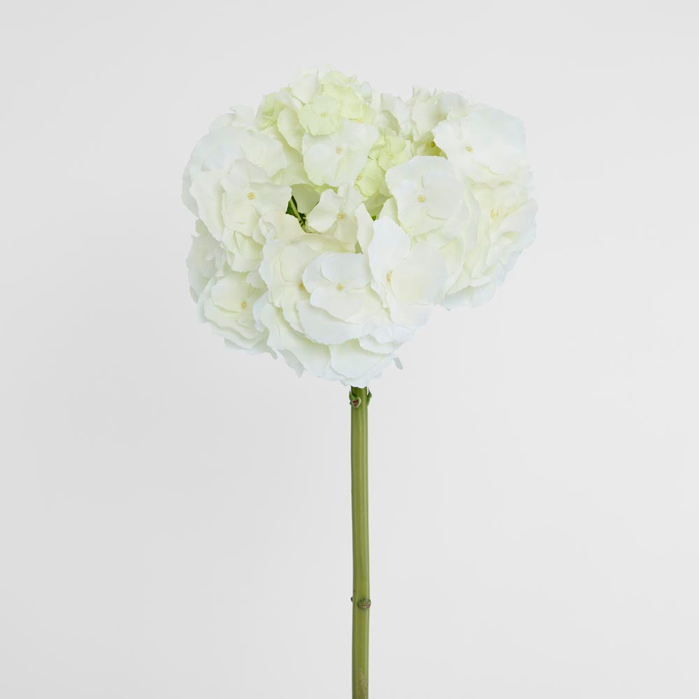 Hydrangea 50cm White