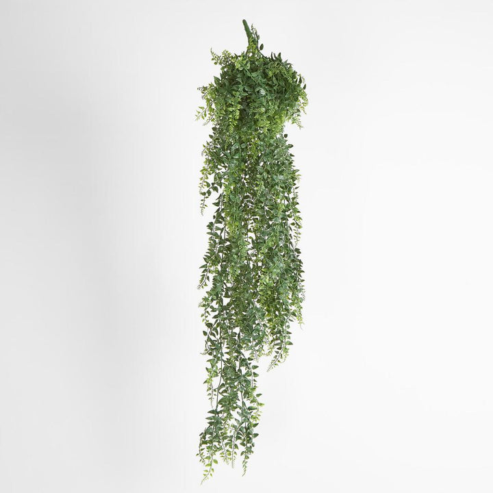 Fern Green Hanging