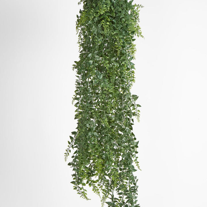 Fern Green Hanging