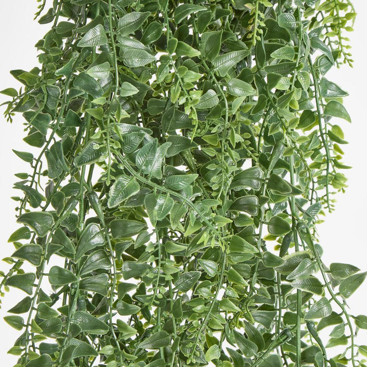 Fern Green Hanging