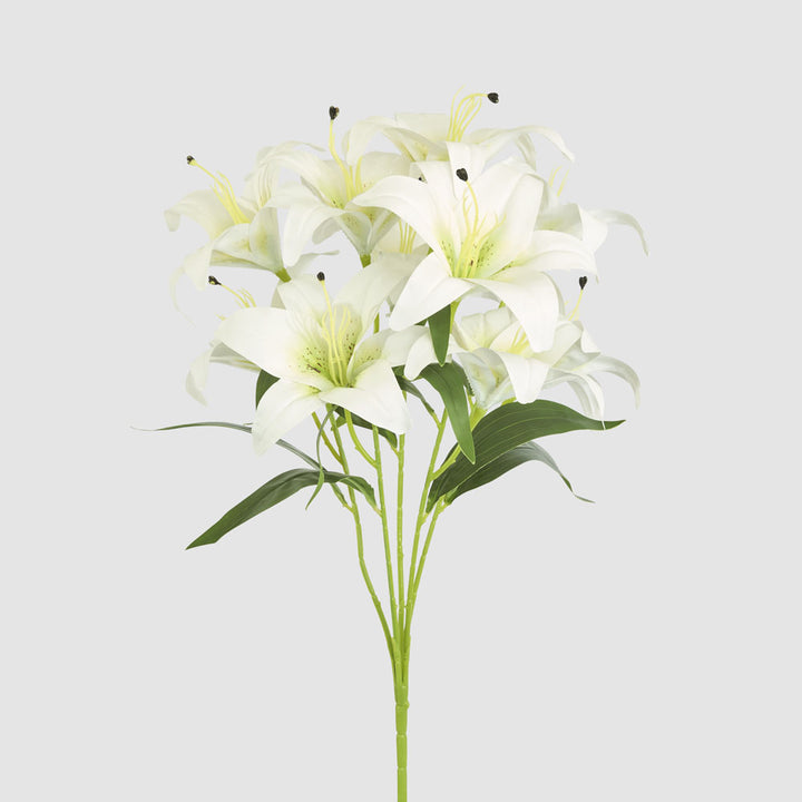 Casablanca Lily Bunch White