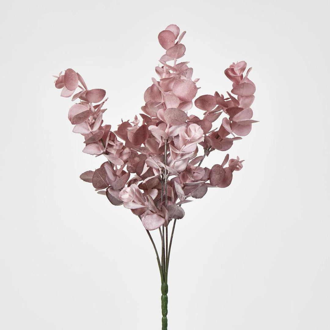 Eucalyptus Bush Pink