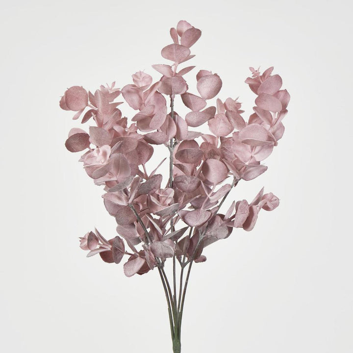 Eucalyptus Bush Pink