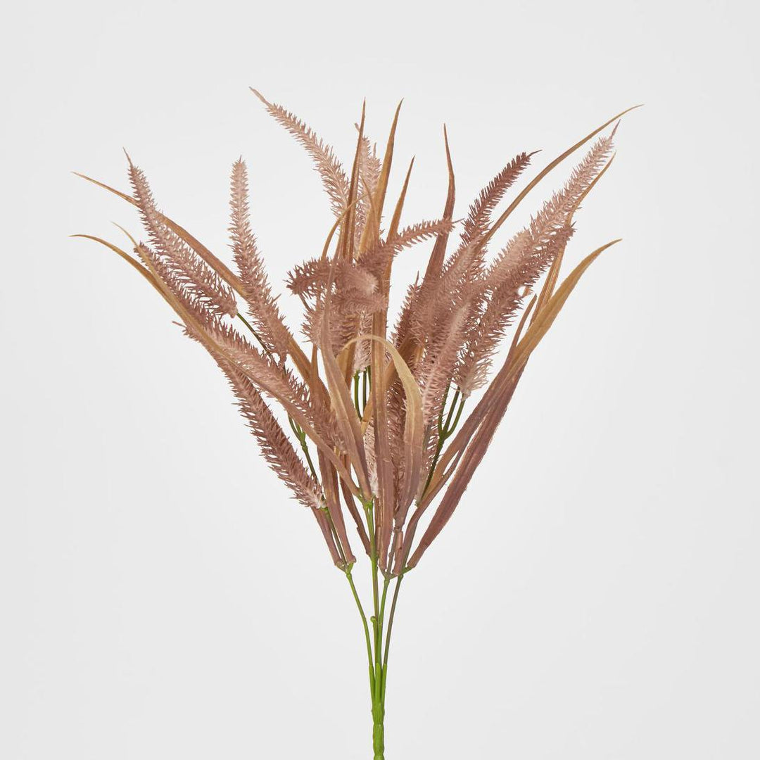 Pampas Grass Bush Pink