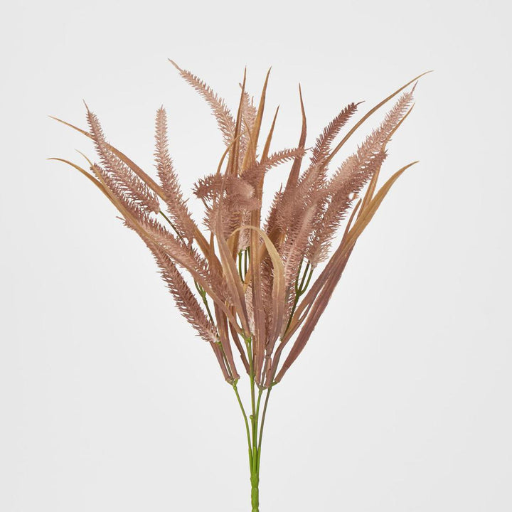 Pampas Grass Bush Pink
