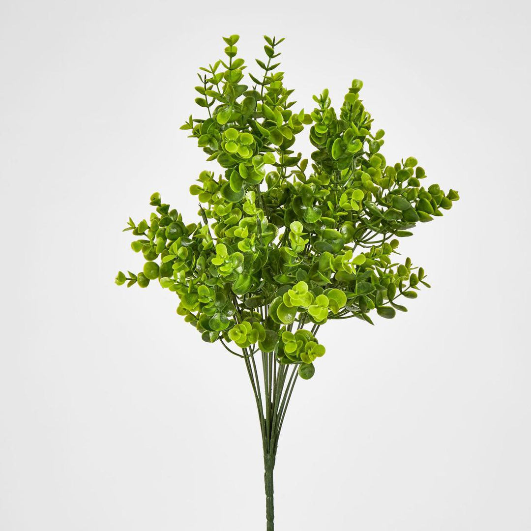 Mini Baby Eucalyptus Bush Green