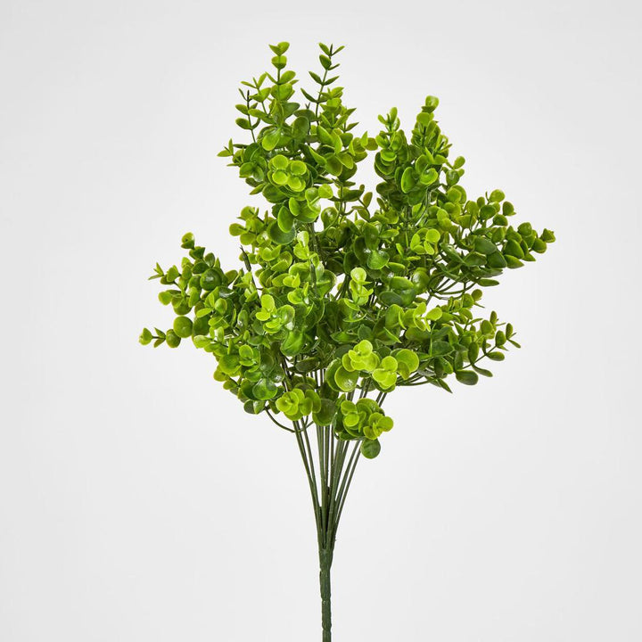 Mini Baby Eucalyptus Bush Green