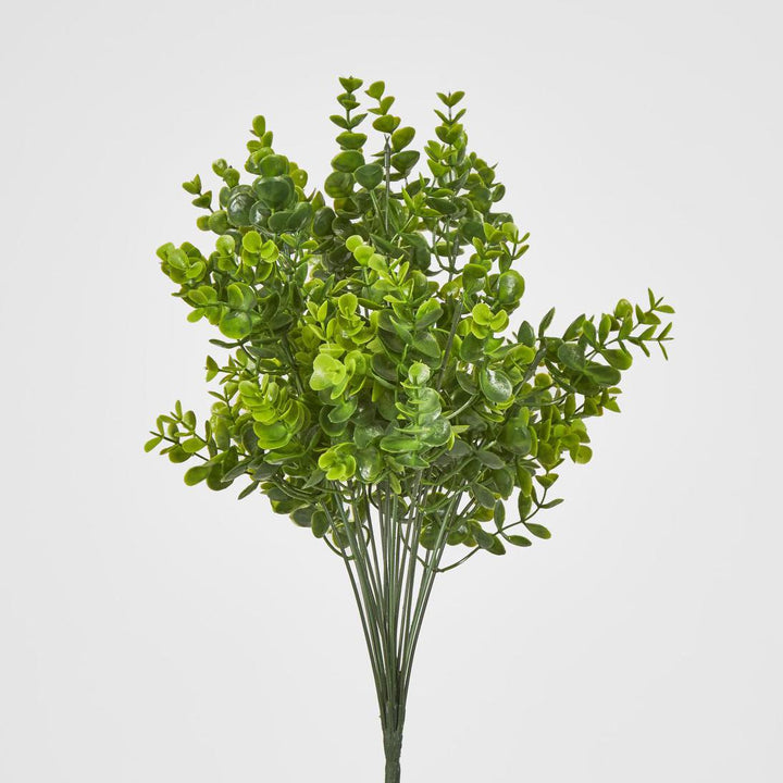 Mini Baby Eucalyptus Bush Green