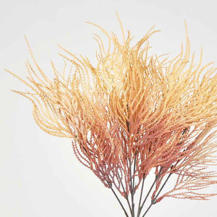 Pampas Grass Bush Orange