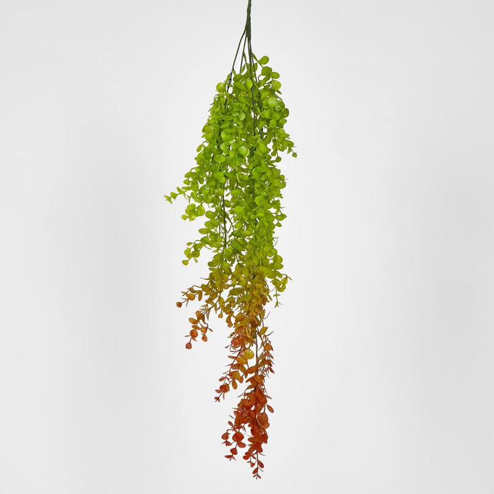 Hanging Eucalyptus Green Red