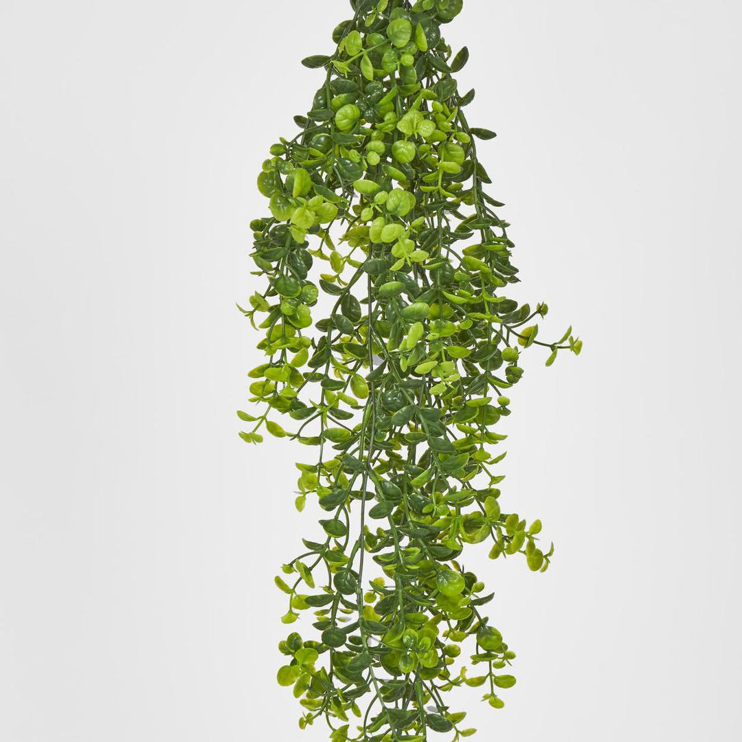 Hanging Buxus Greenery