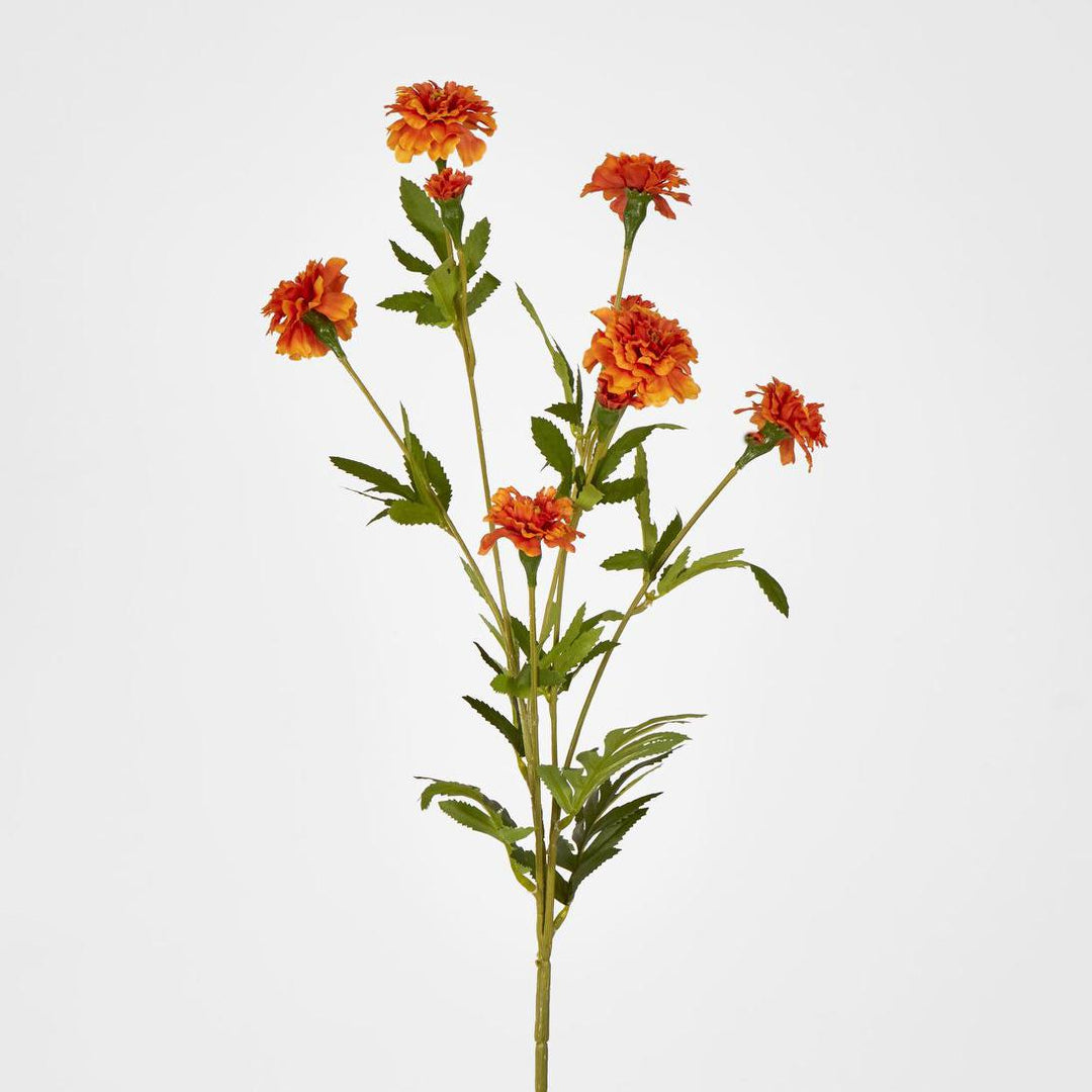 Marigold Spray Orange