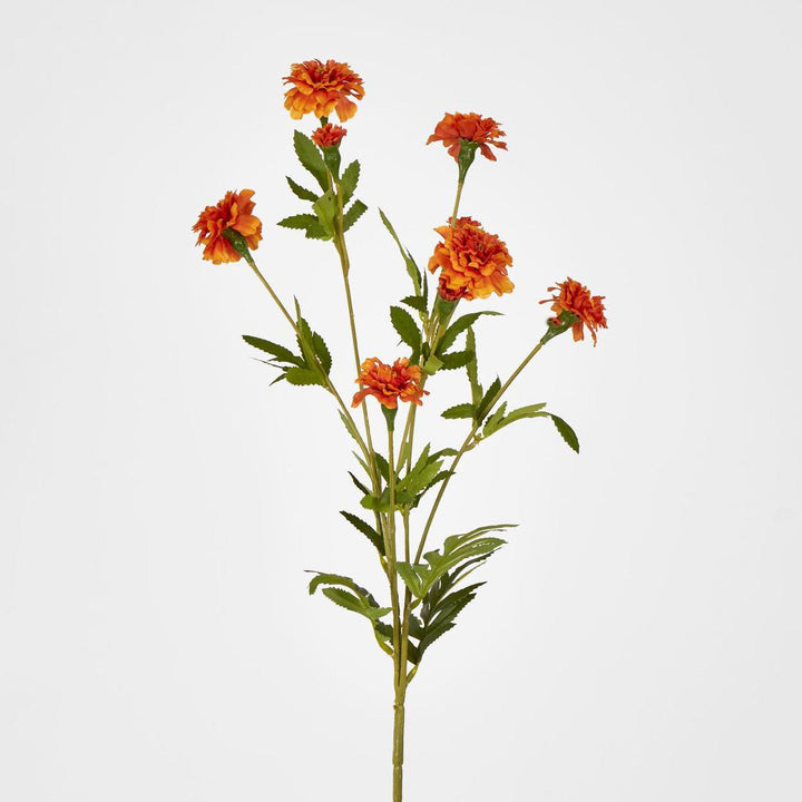 Marigold Spray Orange