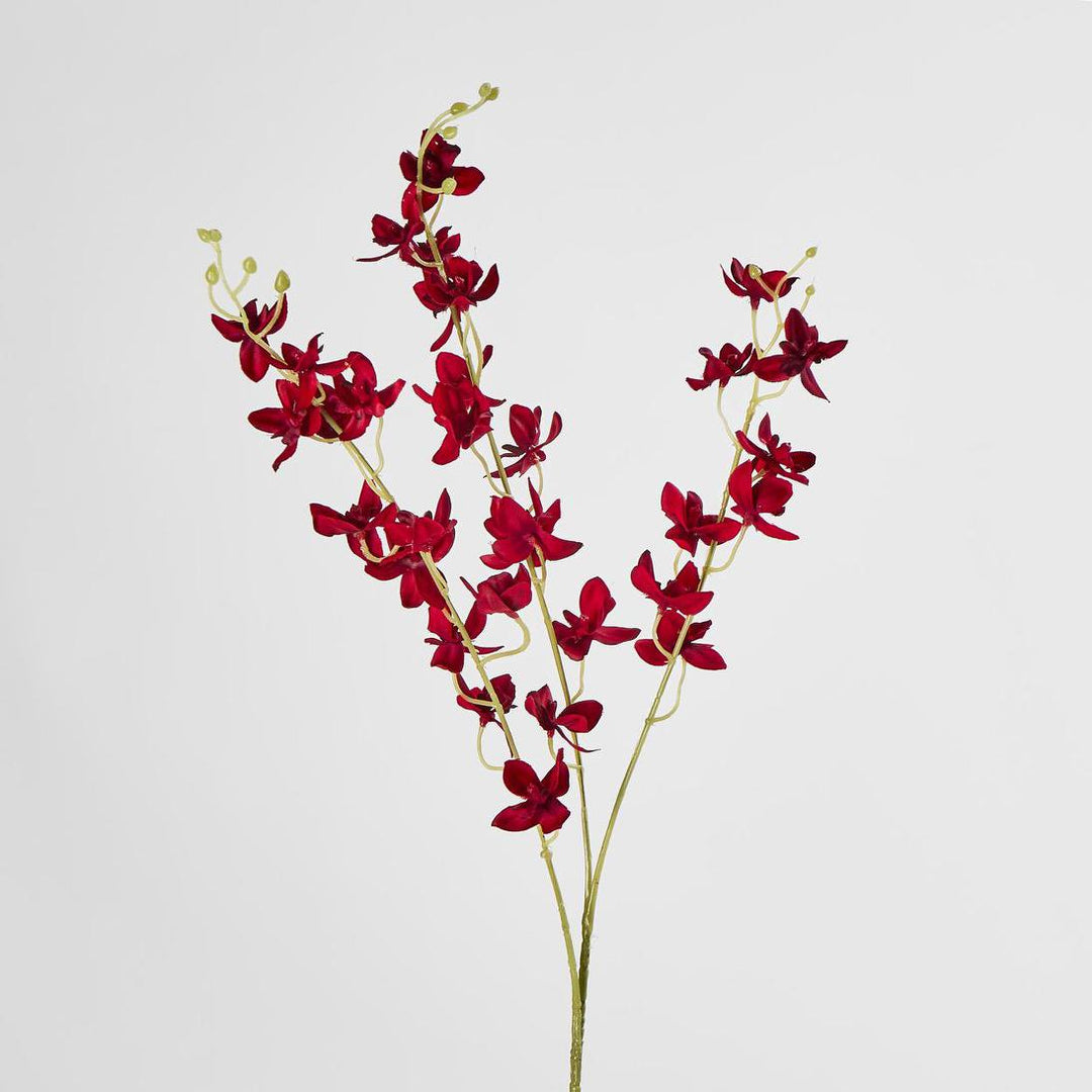 Dendrobium Orchid Spray Red