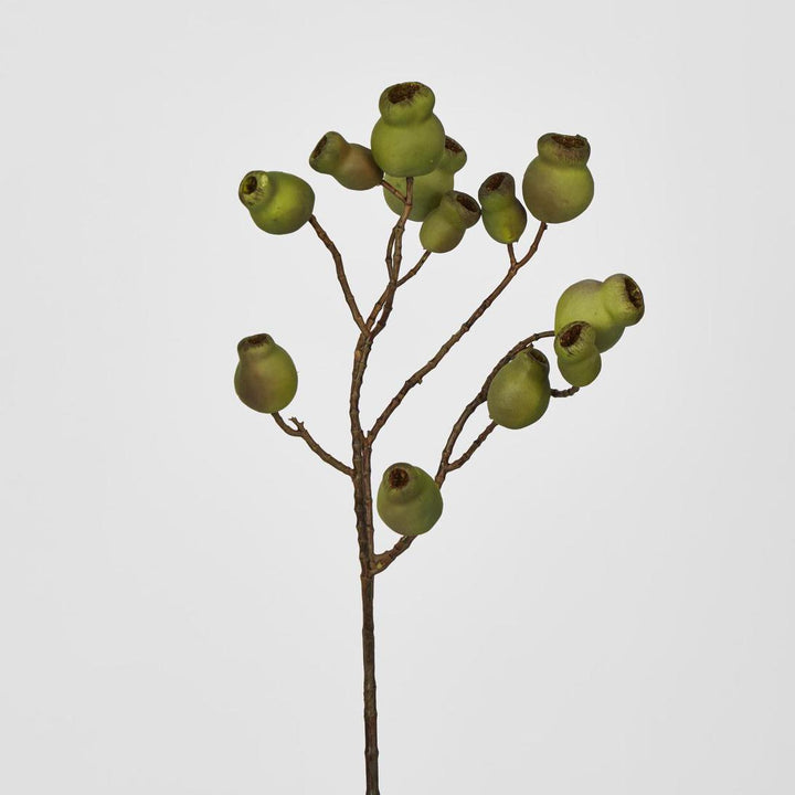 Gumnut Spray Green