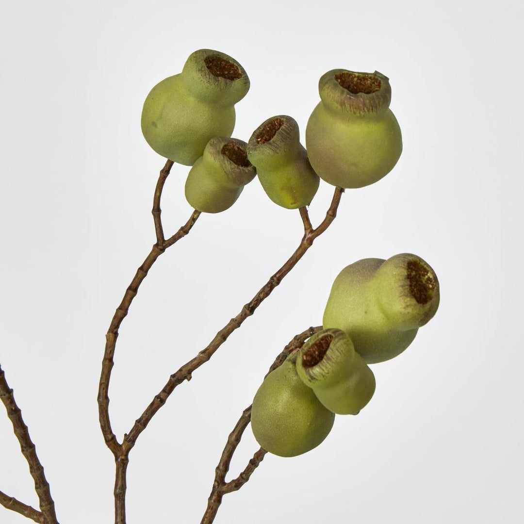 Gumnut Spray Green