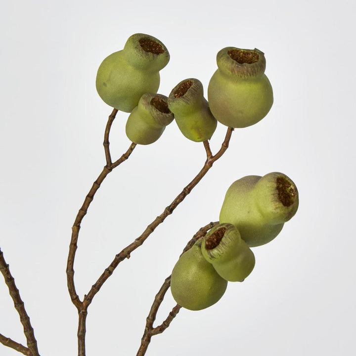 Gumnut Spray Green
