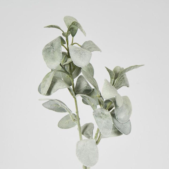 Lambs Ear Leaf Spray Green