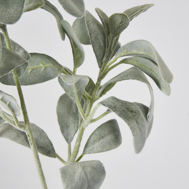 Lambs Ear Leaf Spray Green