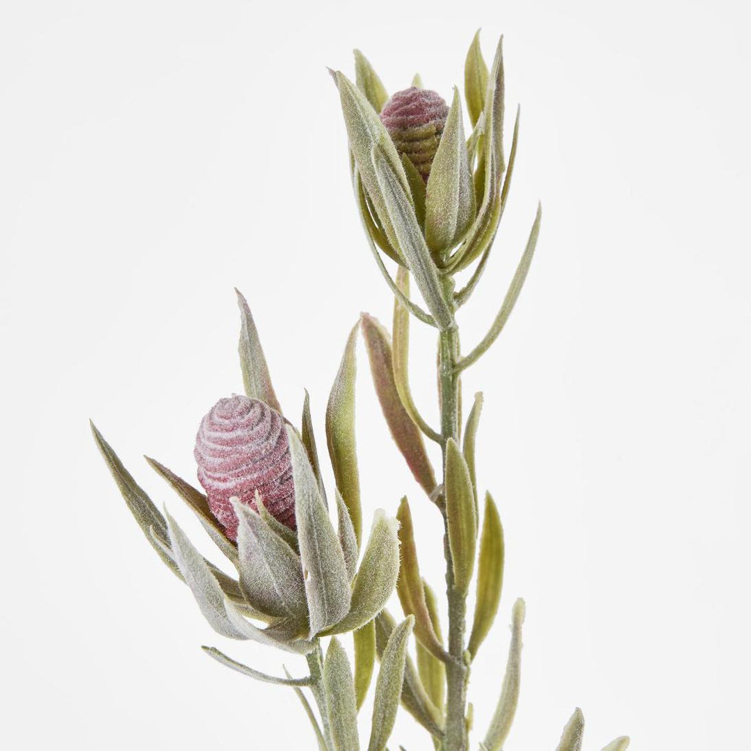 Protea Spray 77cm Burgundy