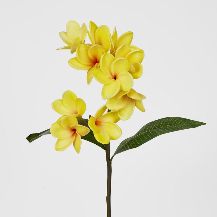 Frangipani Spray 46cm Yellow
